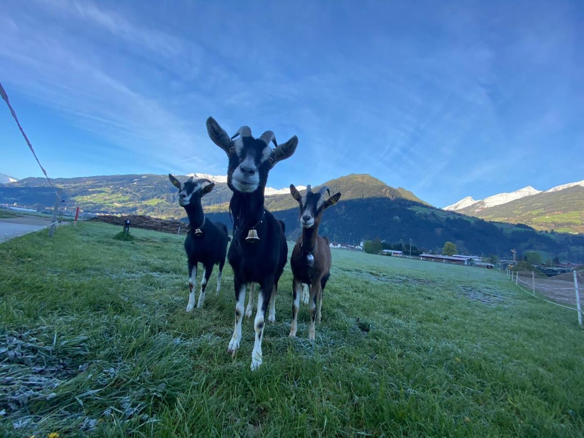 Hotel Standlhof Zillertal Uderns Exteriér fotografie